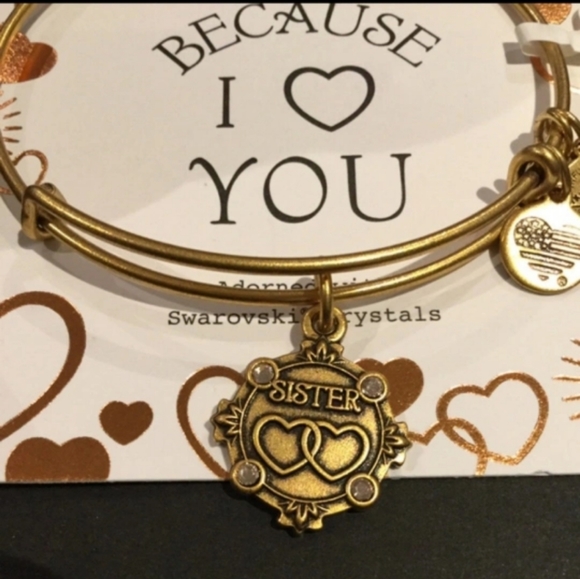 Alex and Ani Because I Love You Sister Gold Bangle - Picture 5 of 5